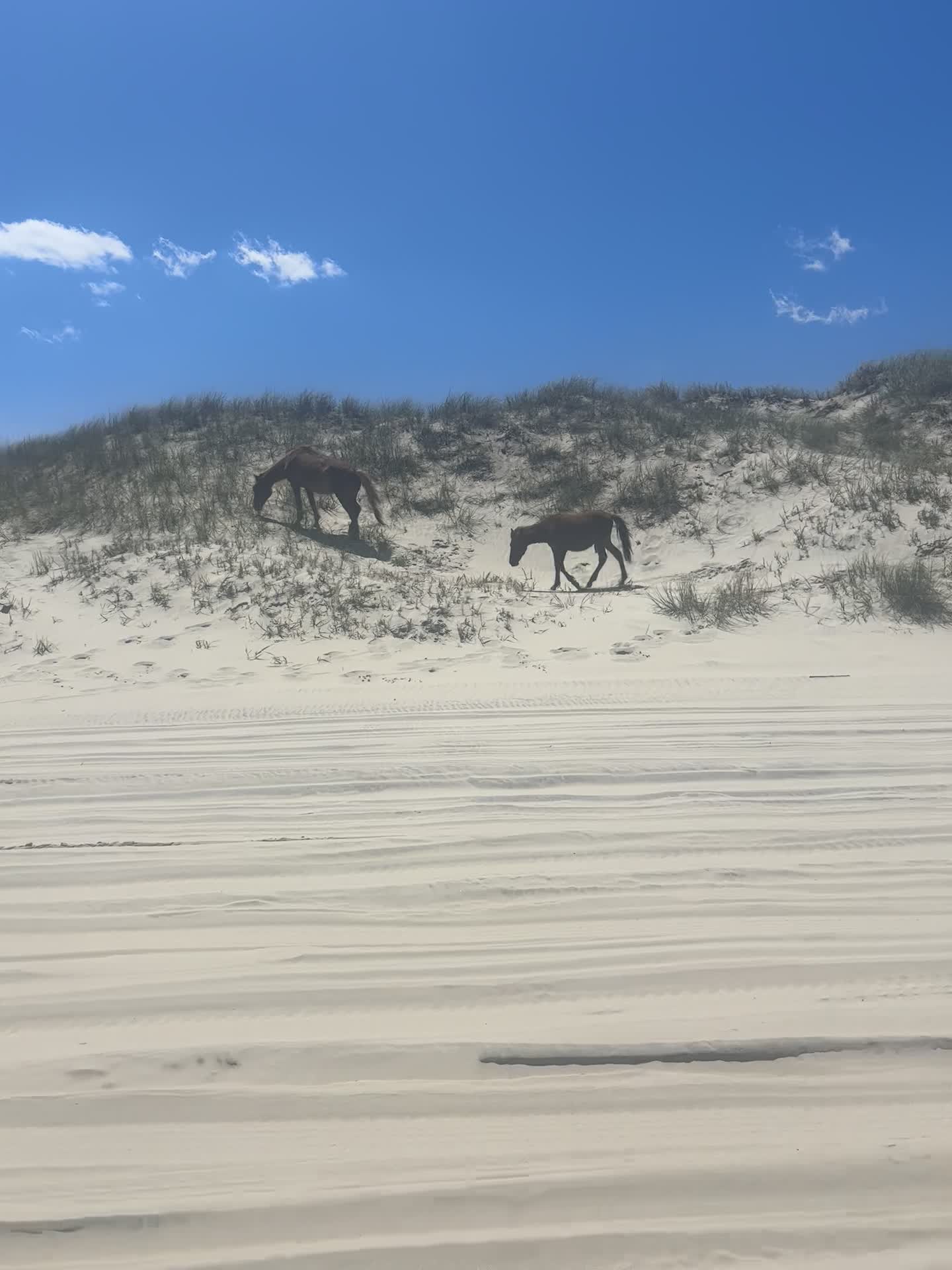 Ocean Bay Beach