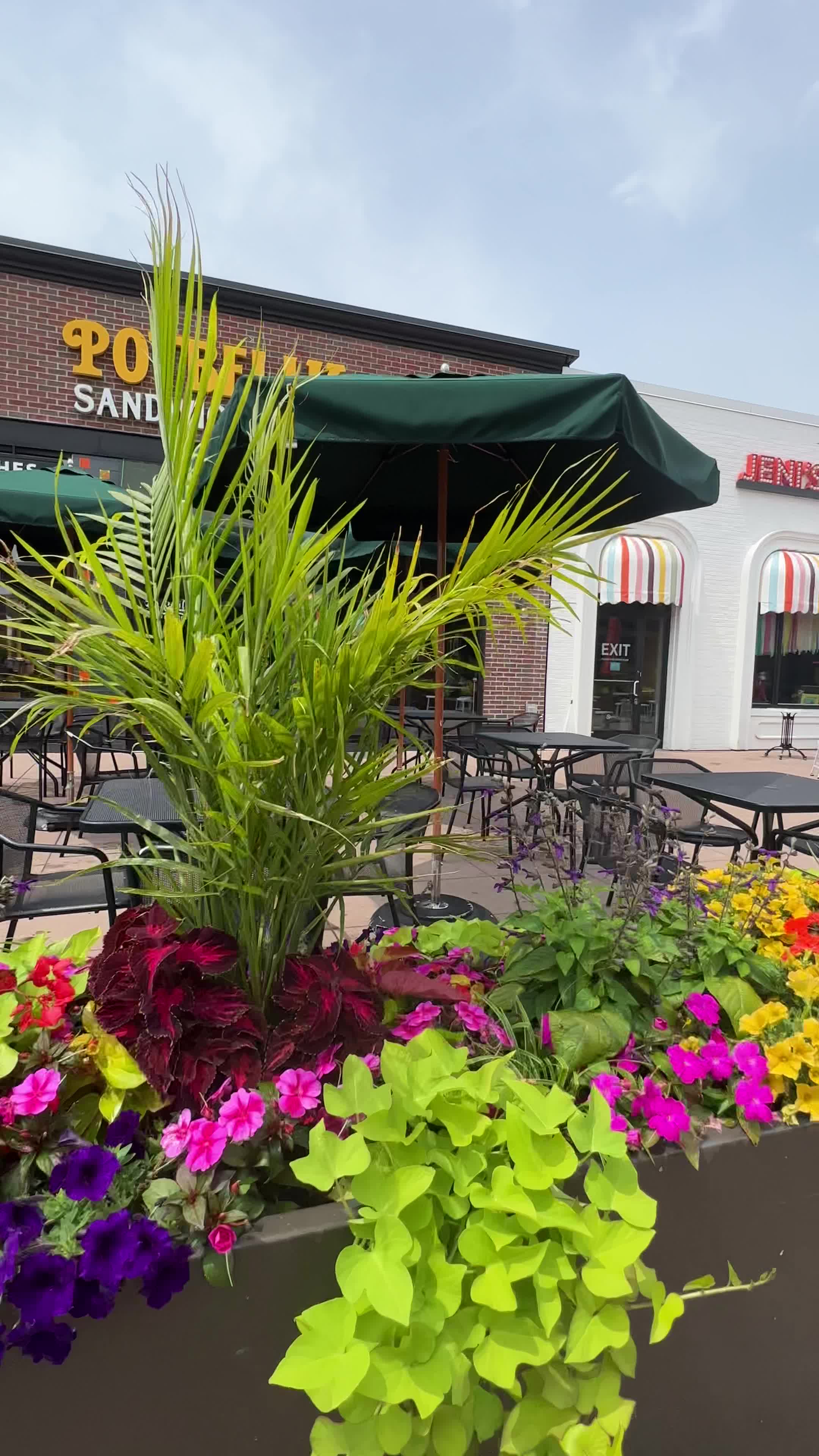 Video review of Oakbrook Center