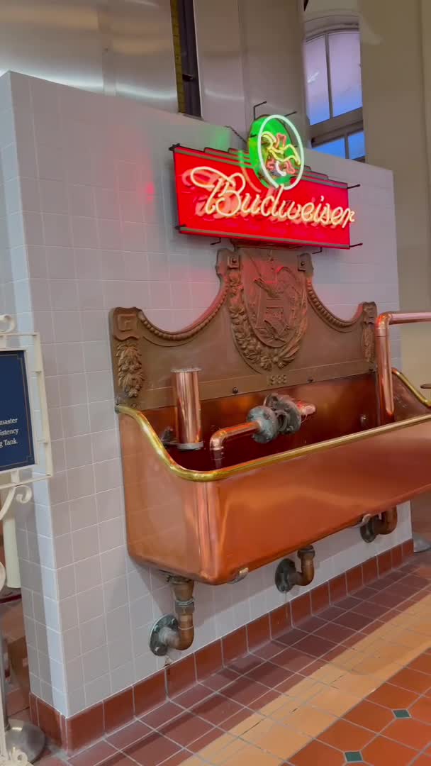 Video review of Anheuser-Busch Brewery Experiences