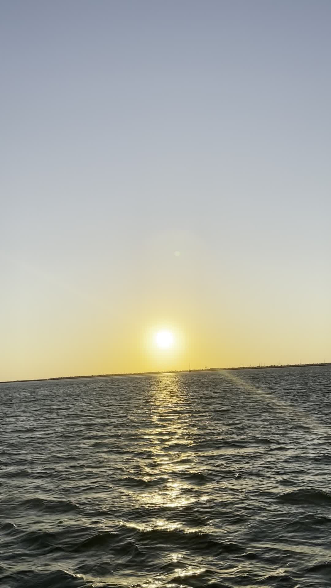 Original Dolphin Watch