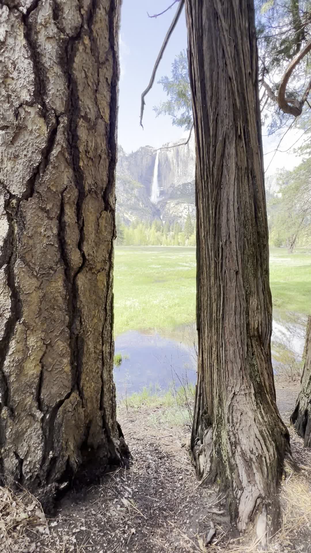 Video review of Cook's Meadow Loop