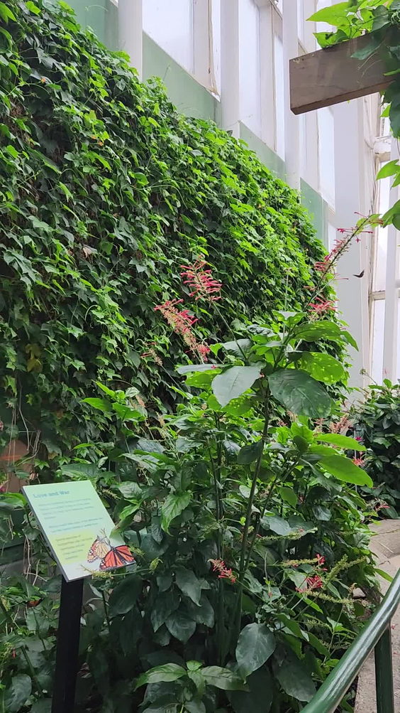Peggy Notebaert Nature Museum
