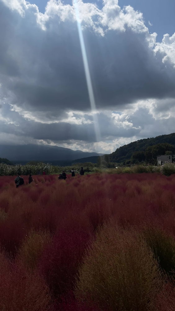 河口湖自然生活館