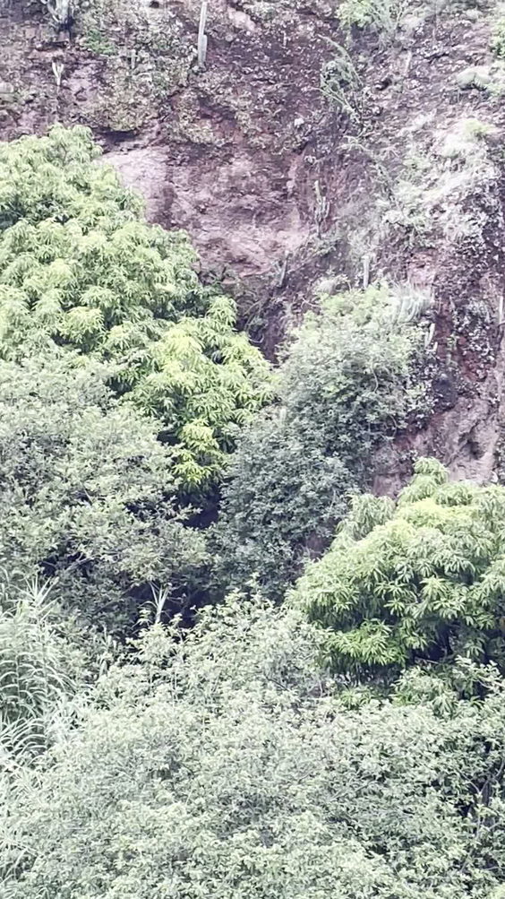 Salón Temaxcalli
