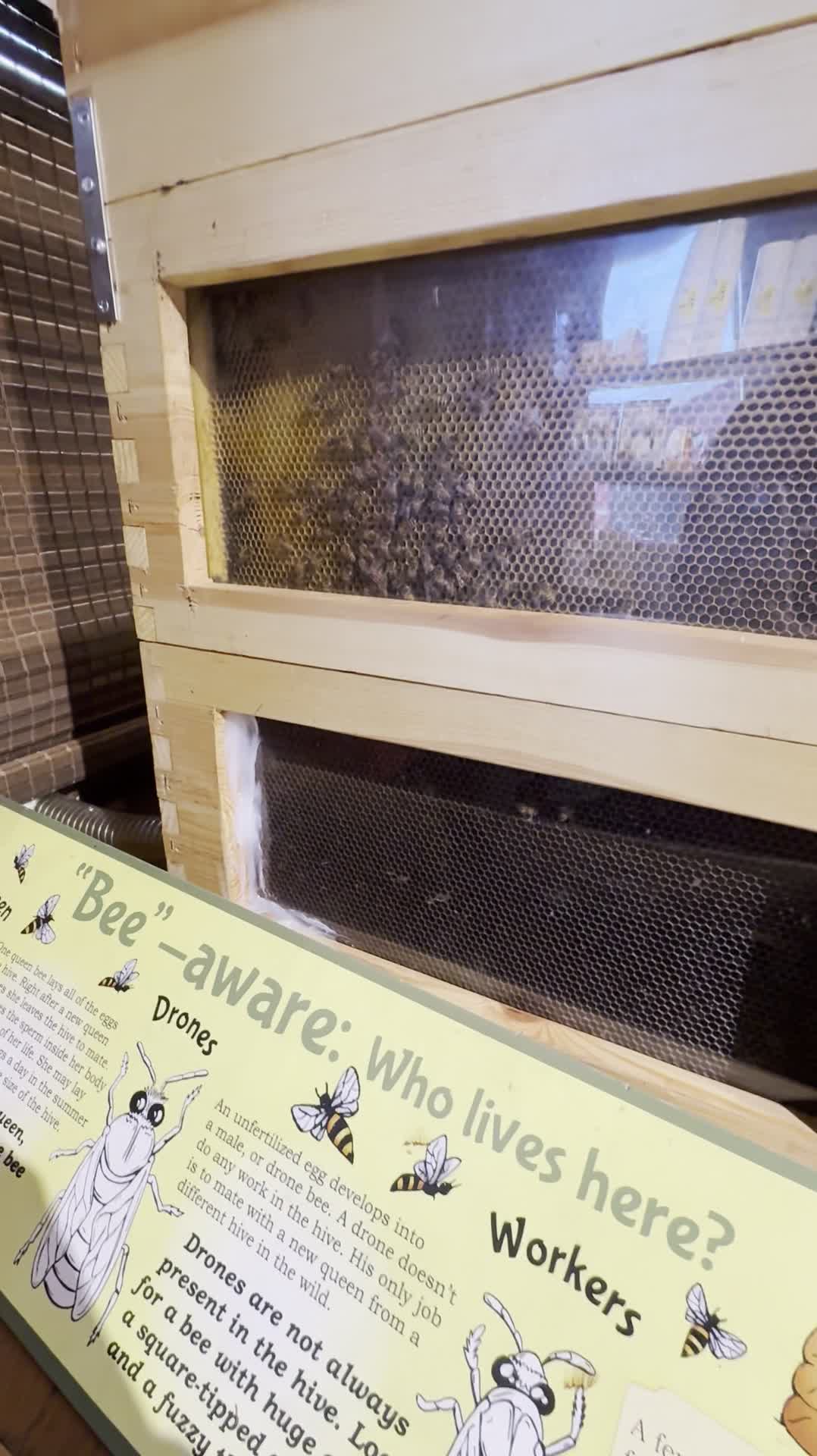 Cold Hollow Cider Mill