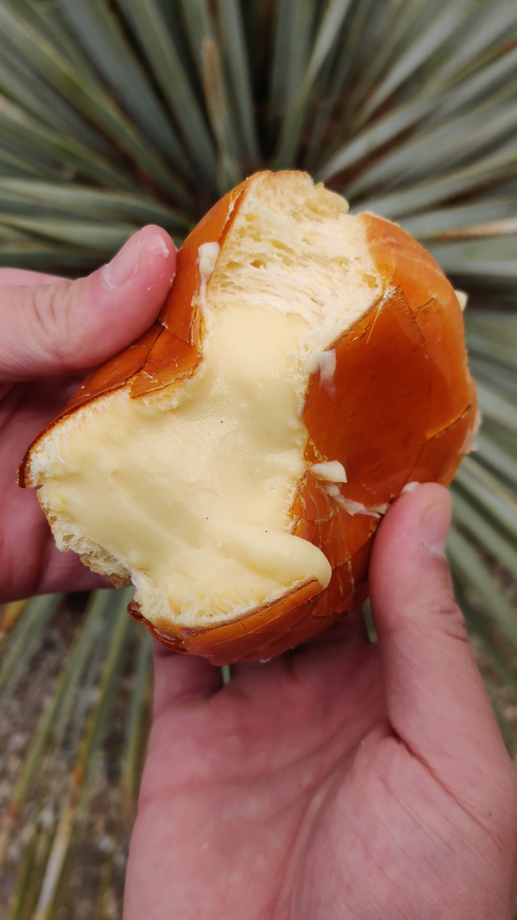 The Original Doughnut Bar