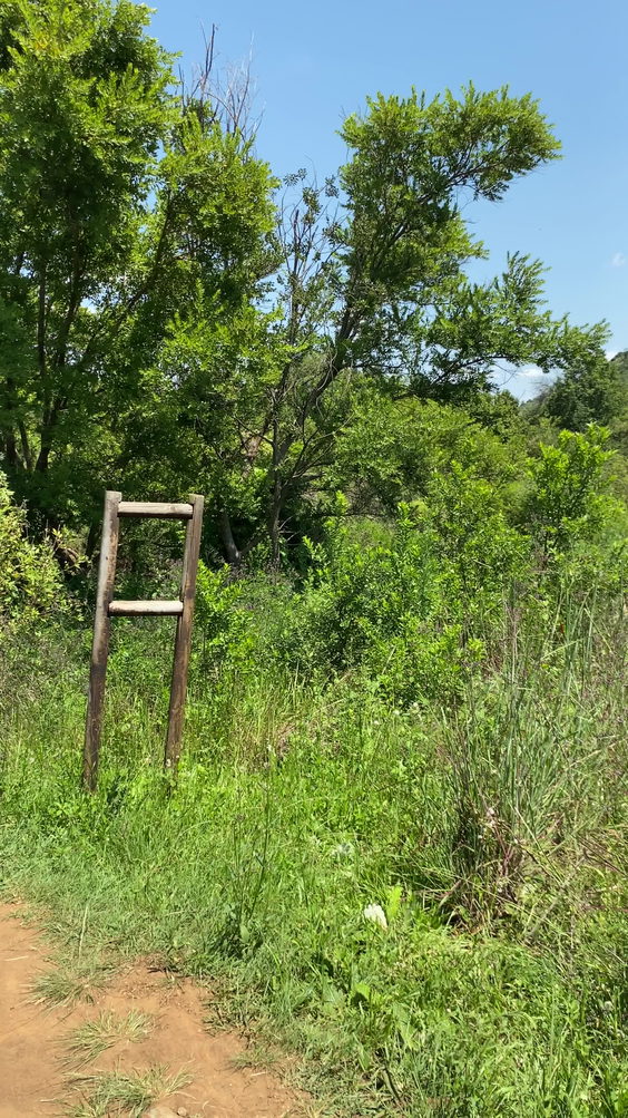 Faerie glen nature reserve