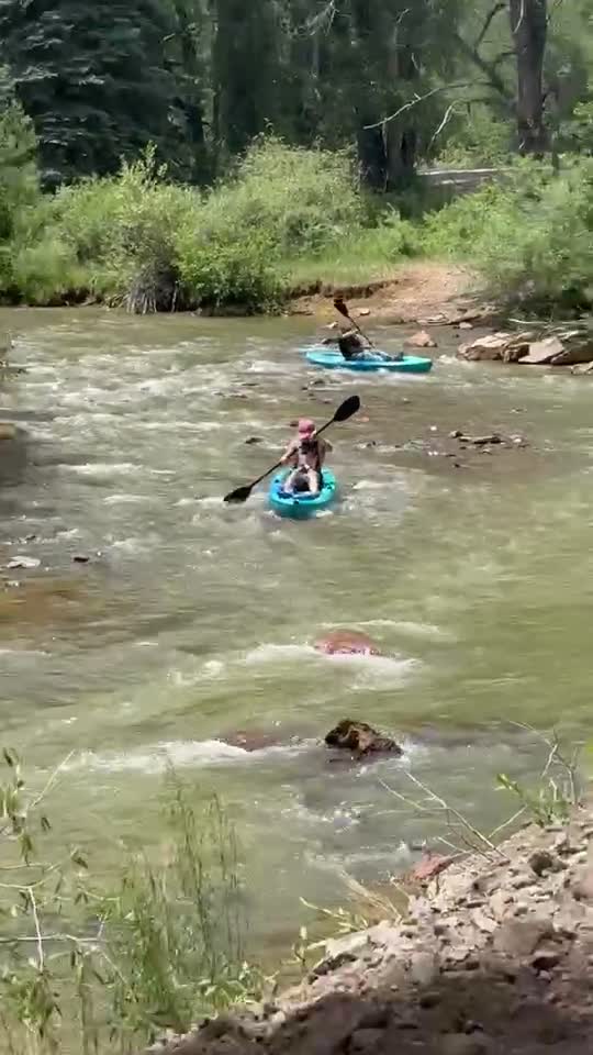 Alamosa KOA