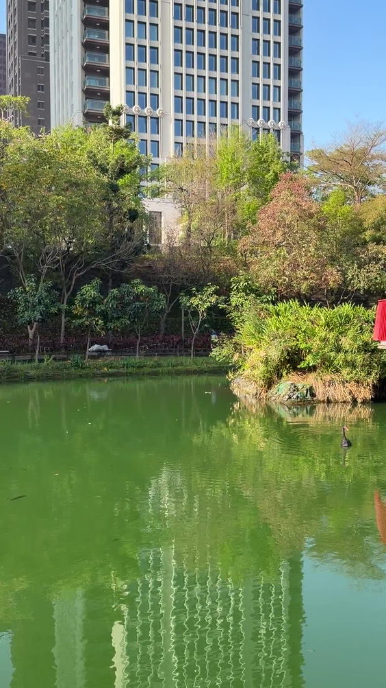秋紅谷廣場 Maple Garden Park