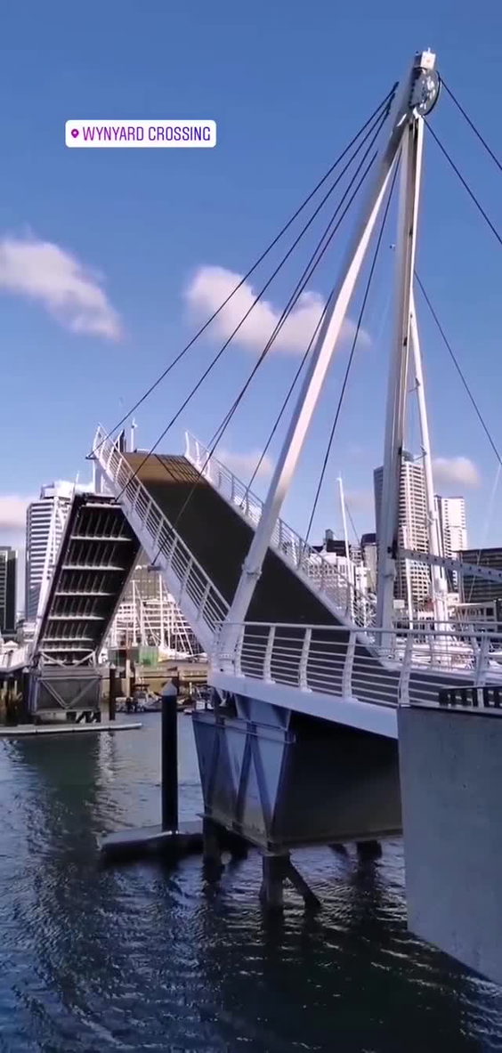 Wynyard Crossing