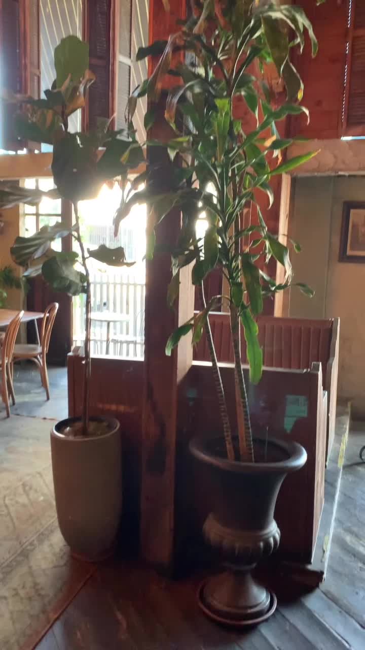 Video review of Melrose Umbrella Co.