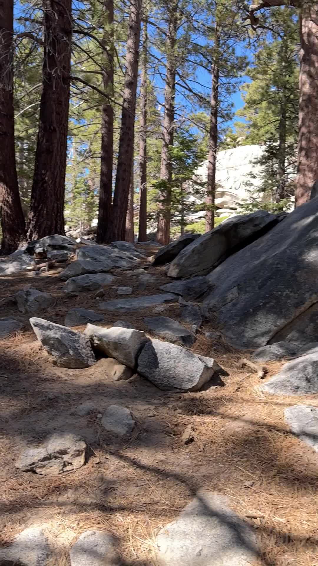 Palm Springs Aerial Tramway