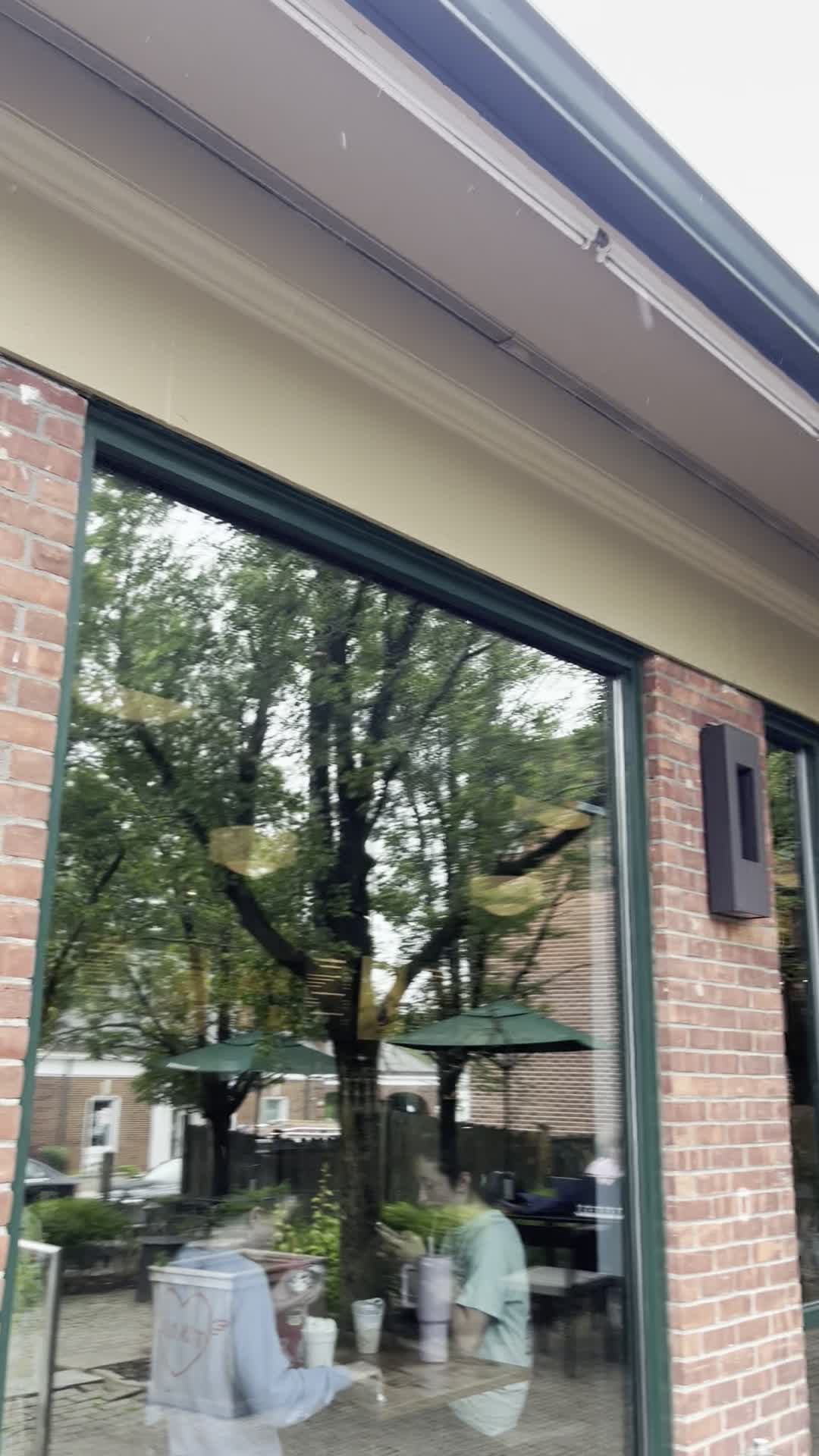 Video review of Starbucks