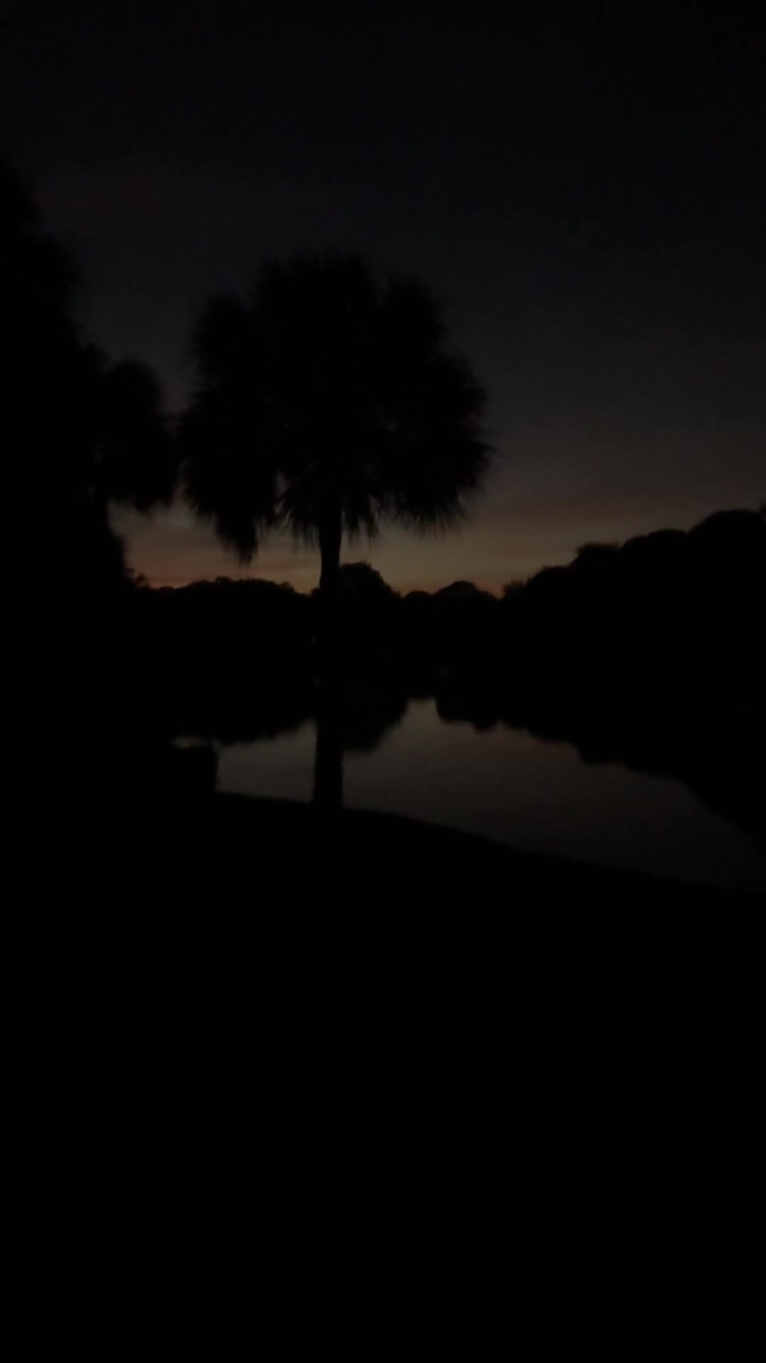 Everglades Holiday Park