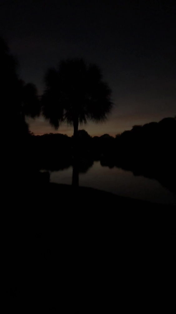 Everglades Holiday Park