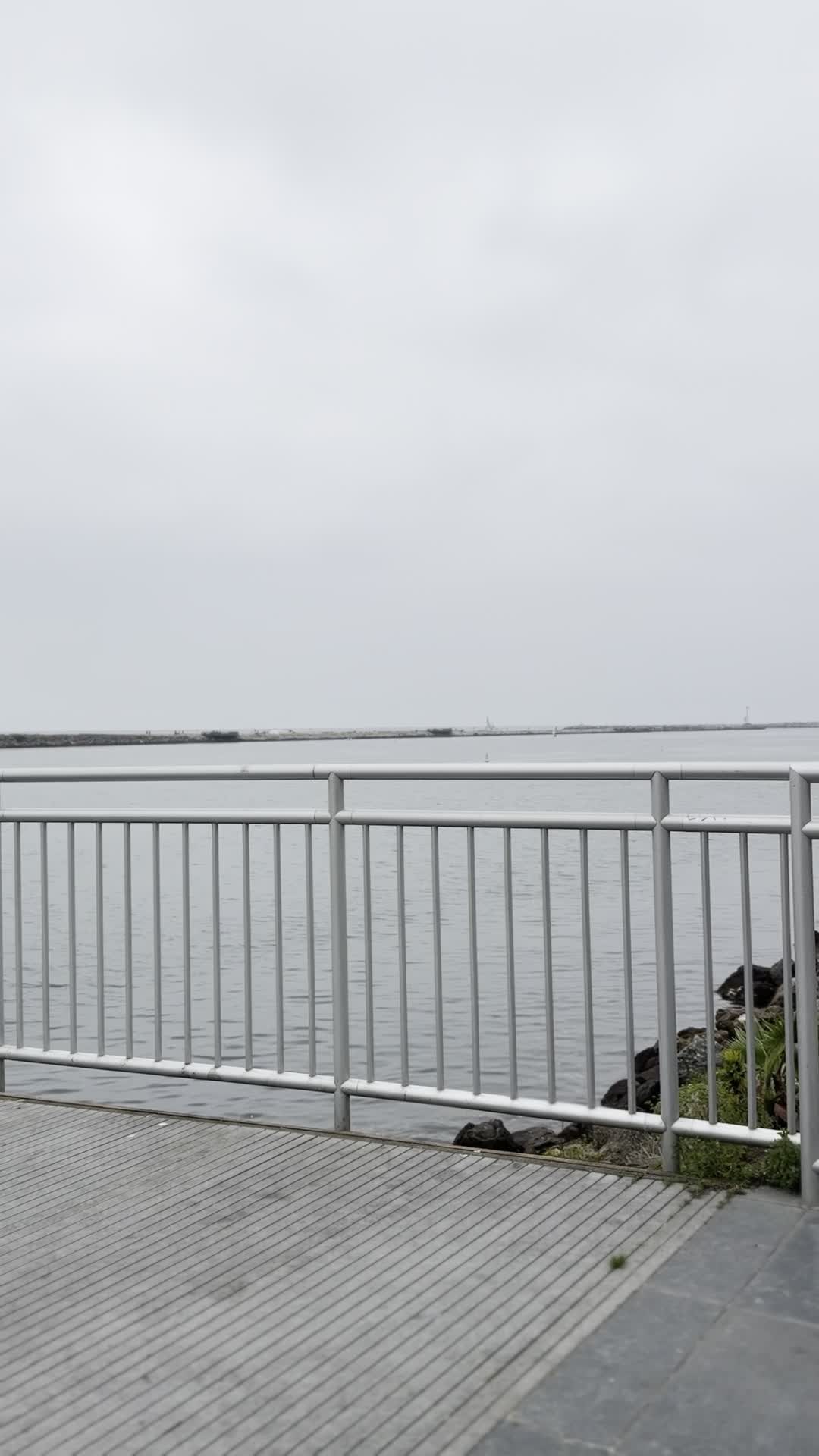 Marina Del Rey Marina