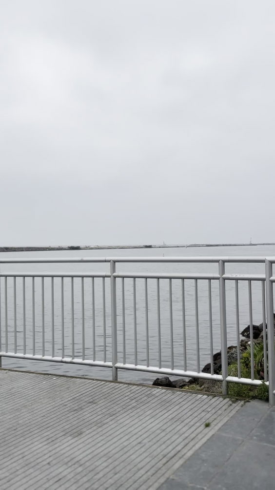 Marina Del Rey Marina