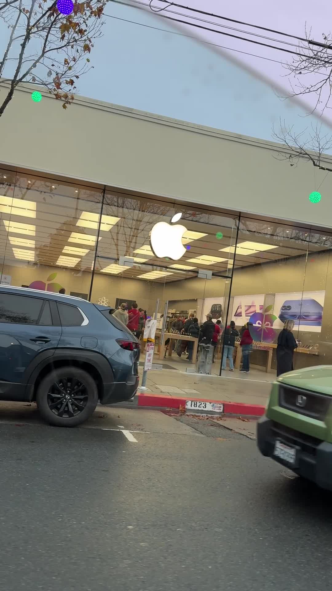 Video review of Apple Stanford