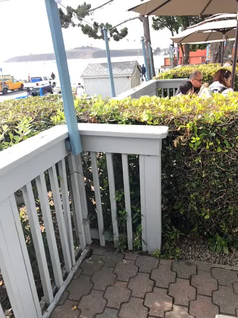 Barbara's Fishtrap
