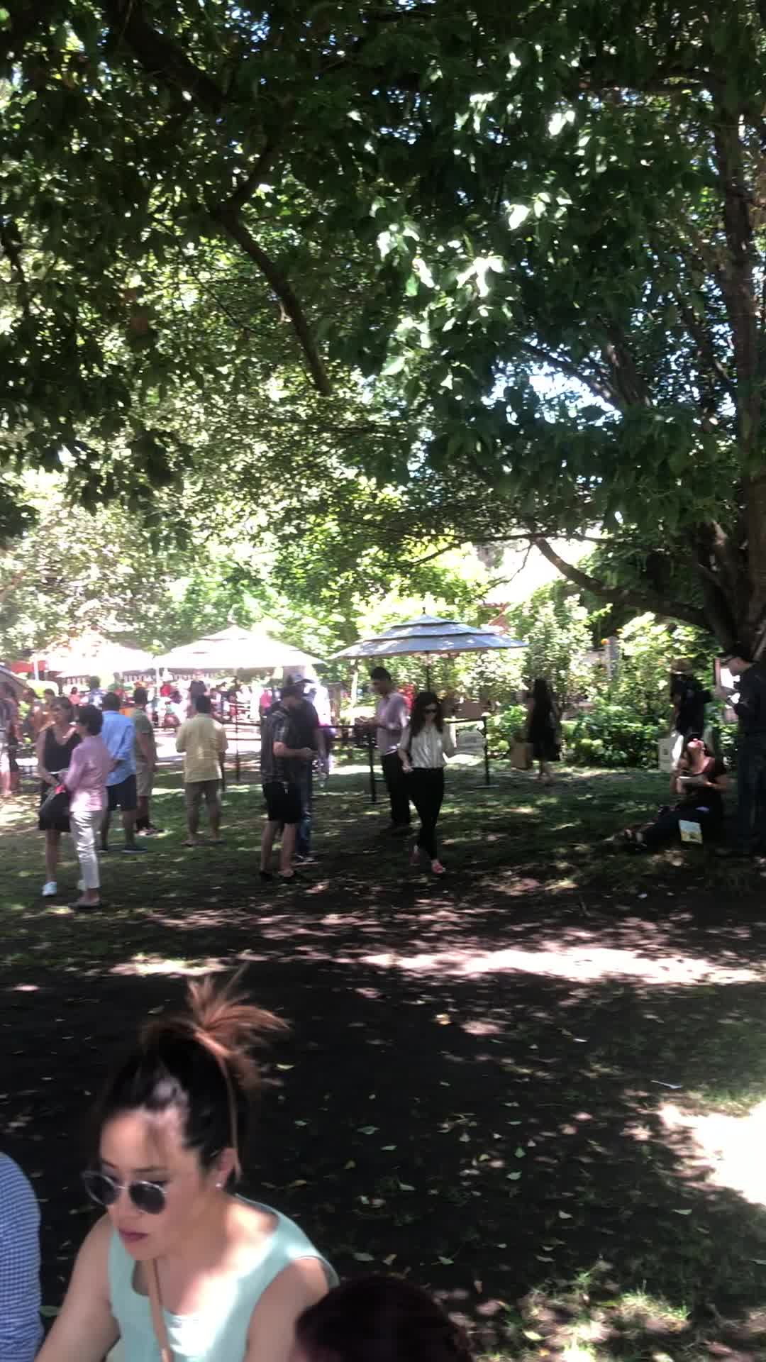 V. Sattui Winery