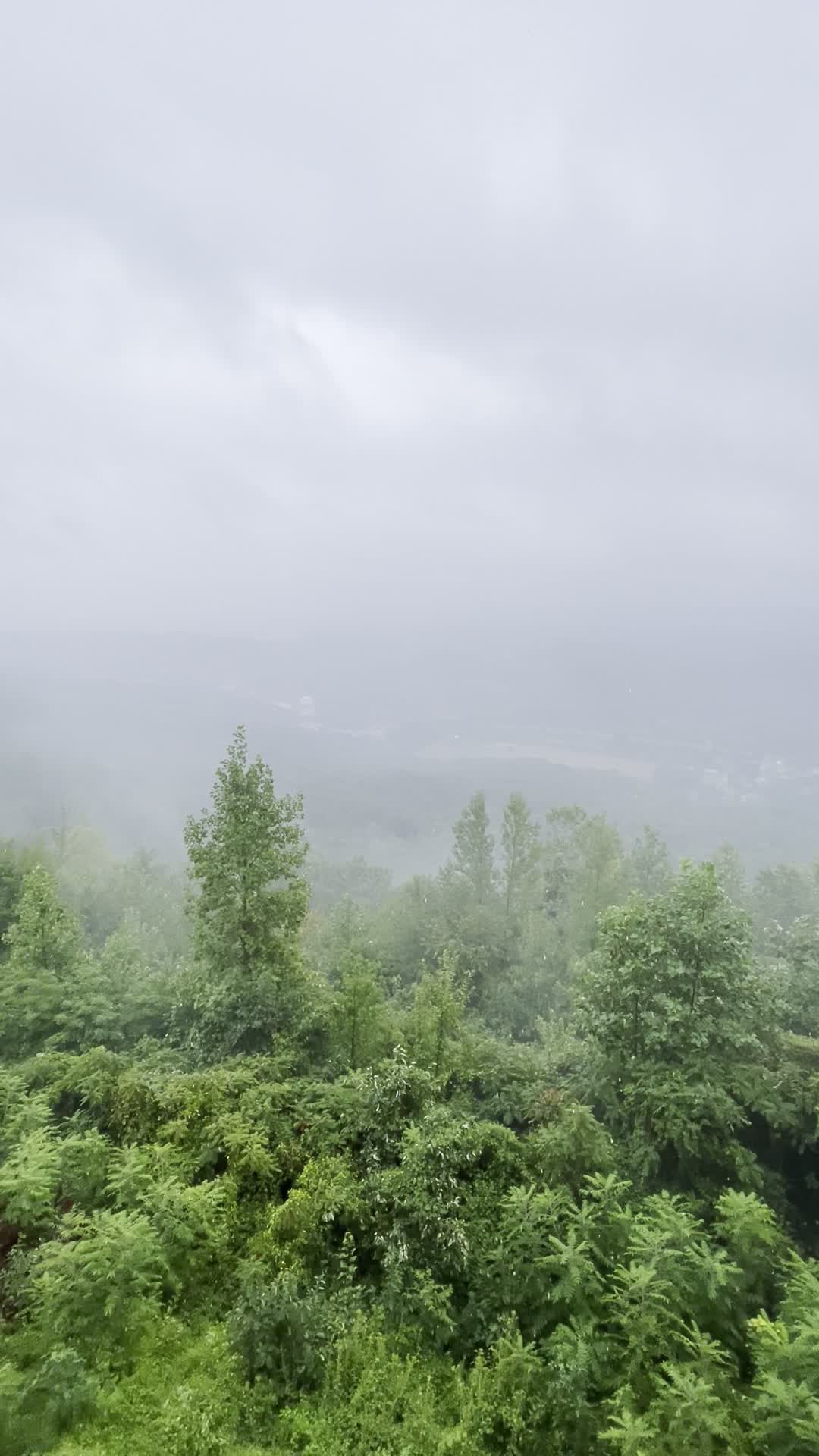 Video review of Lover's Leap