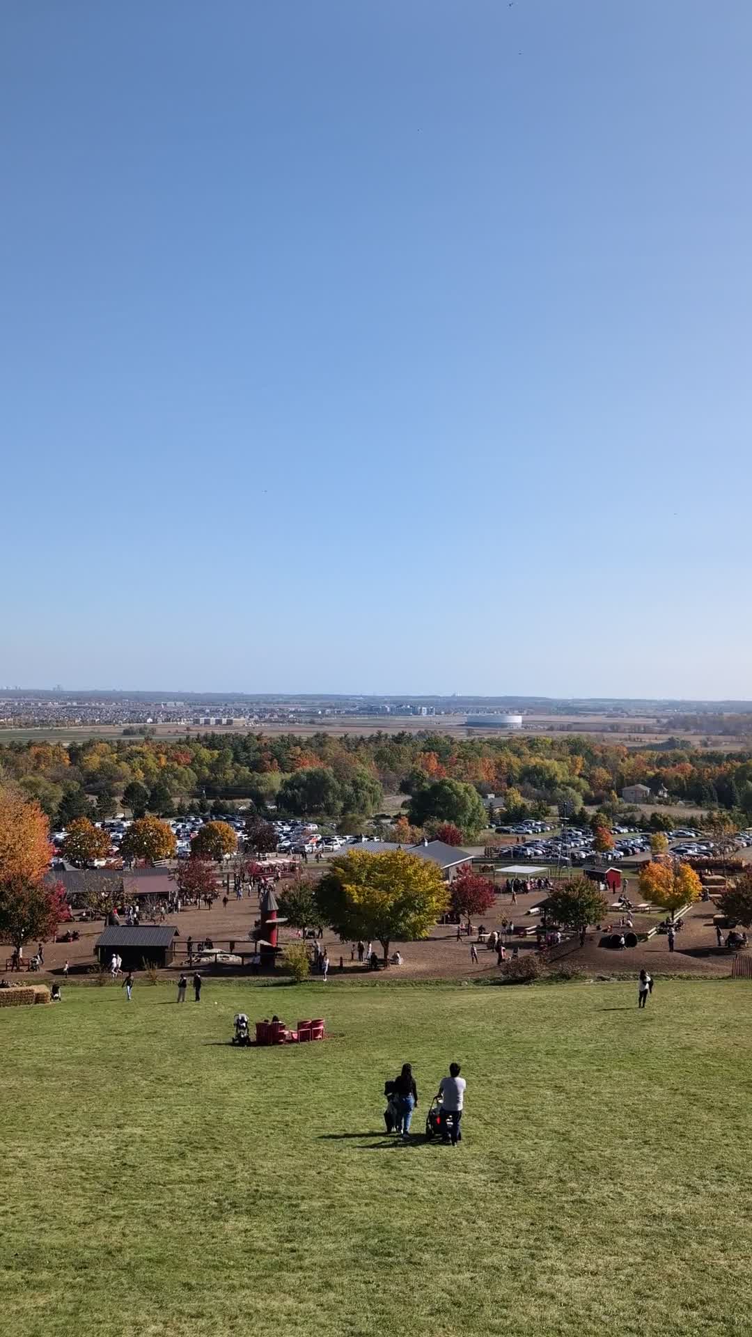 Springridge Farm