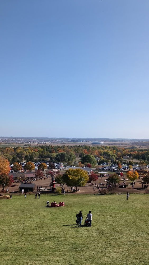 Springridge Farm