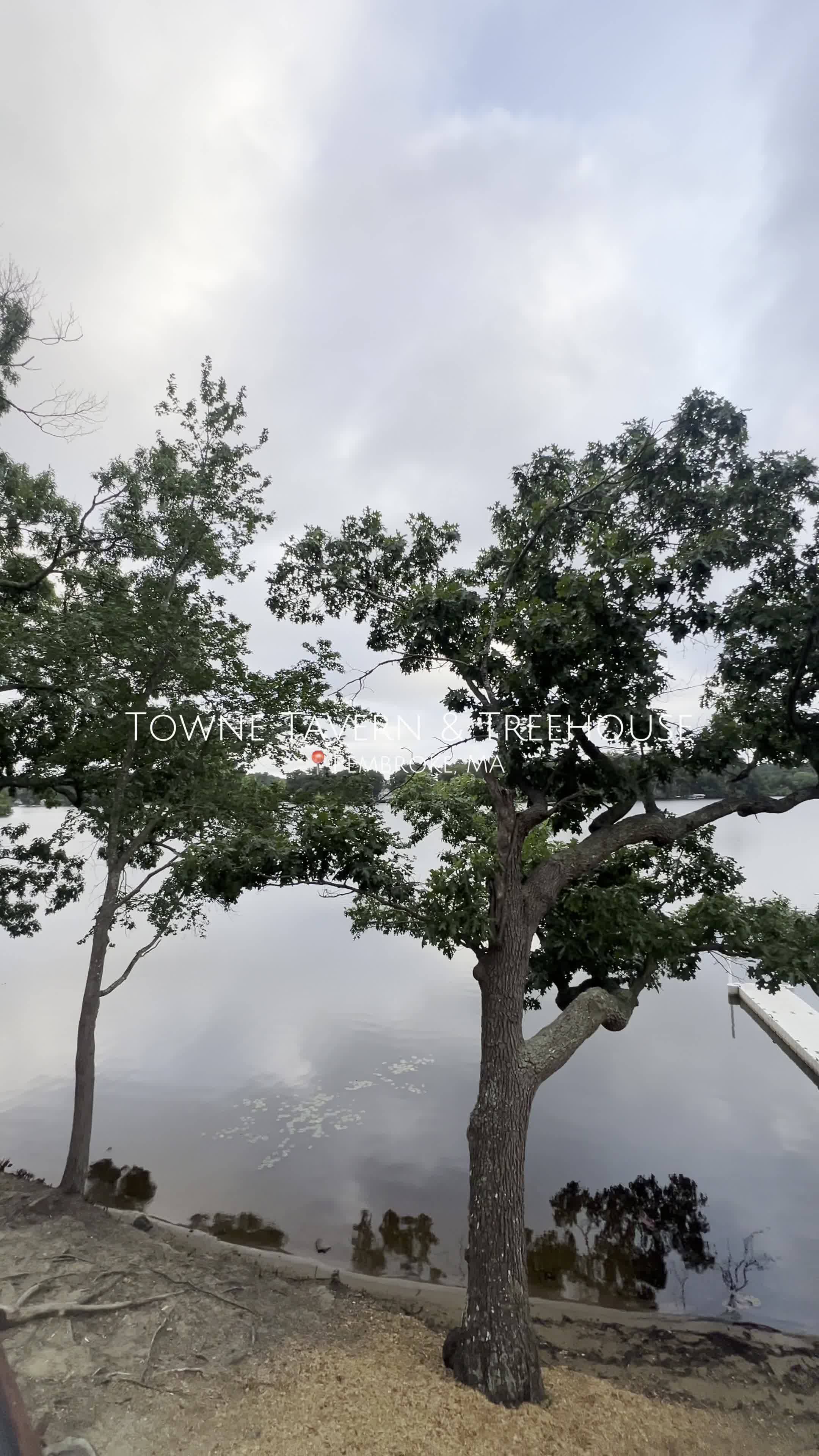 Towne Tavern & Treehouse