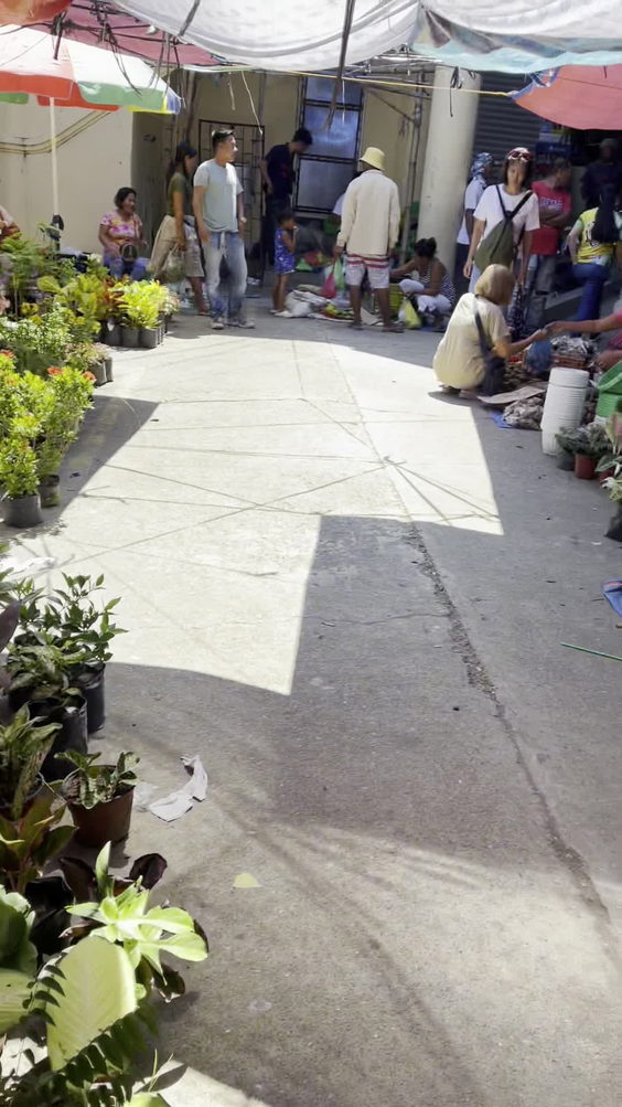Santo Domingo Public Market