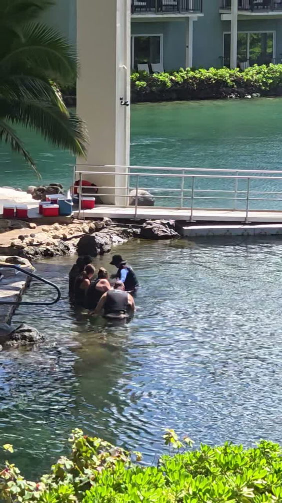 Kahala