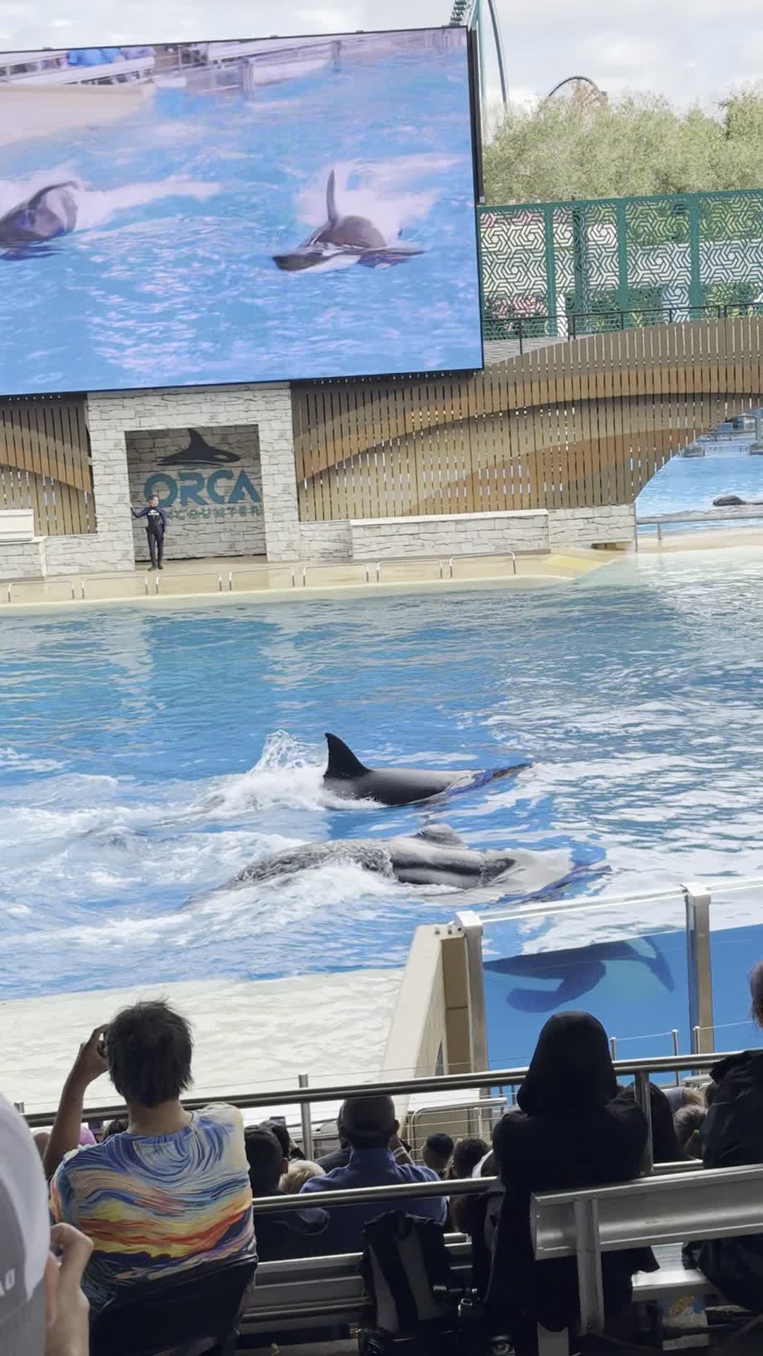 SeaWorld Orlando