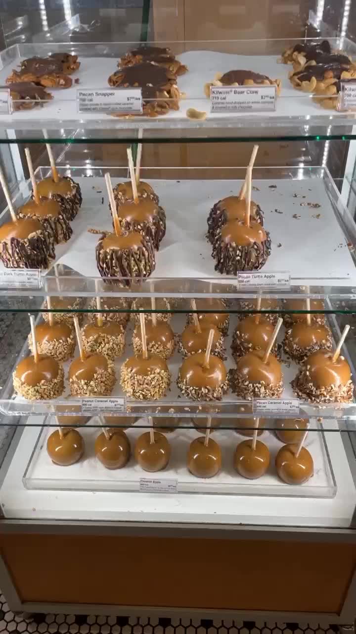 Video review of Kilwins Ice Cream - Chocolate - Fudge