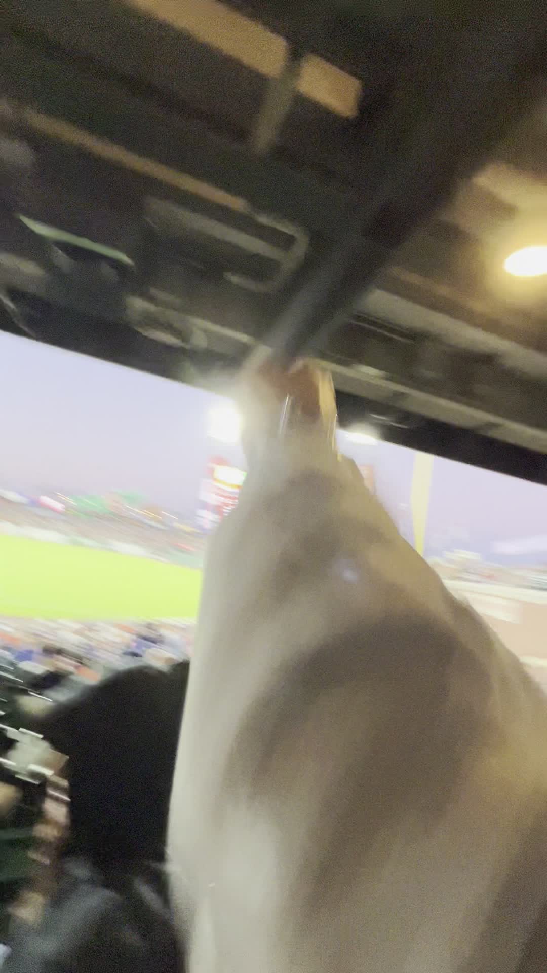 Play Ball!