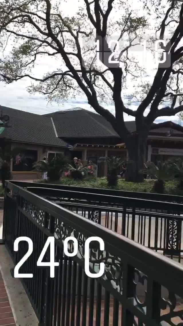 Disney Springs