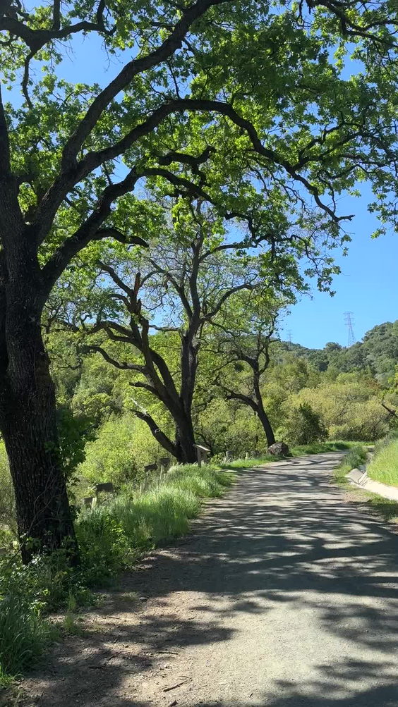 Almaden Quicksilver County Park