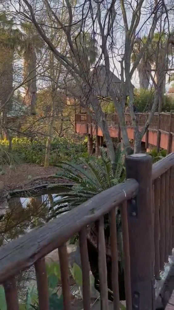 Safari Restaurant & Conference Centre