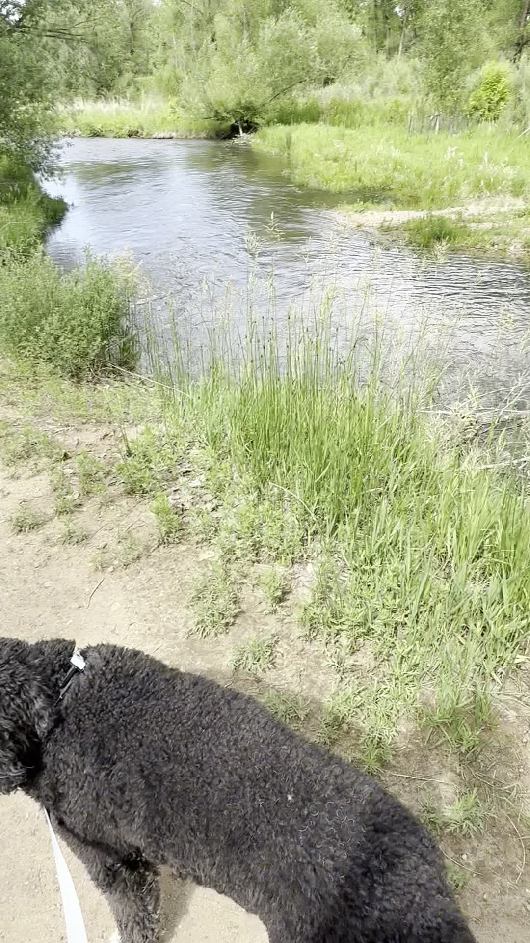 Bear Creek Greenbelt
