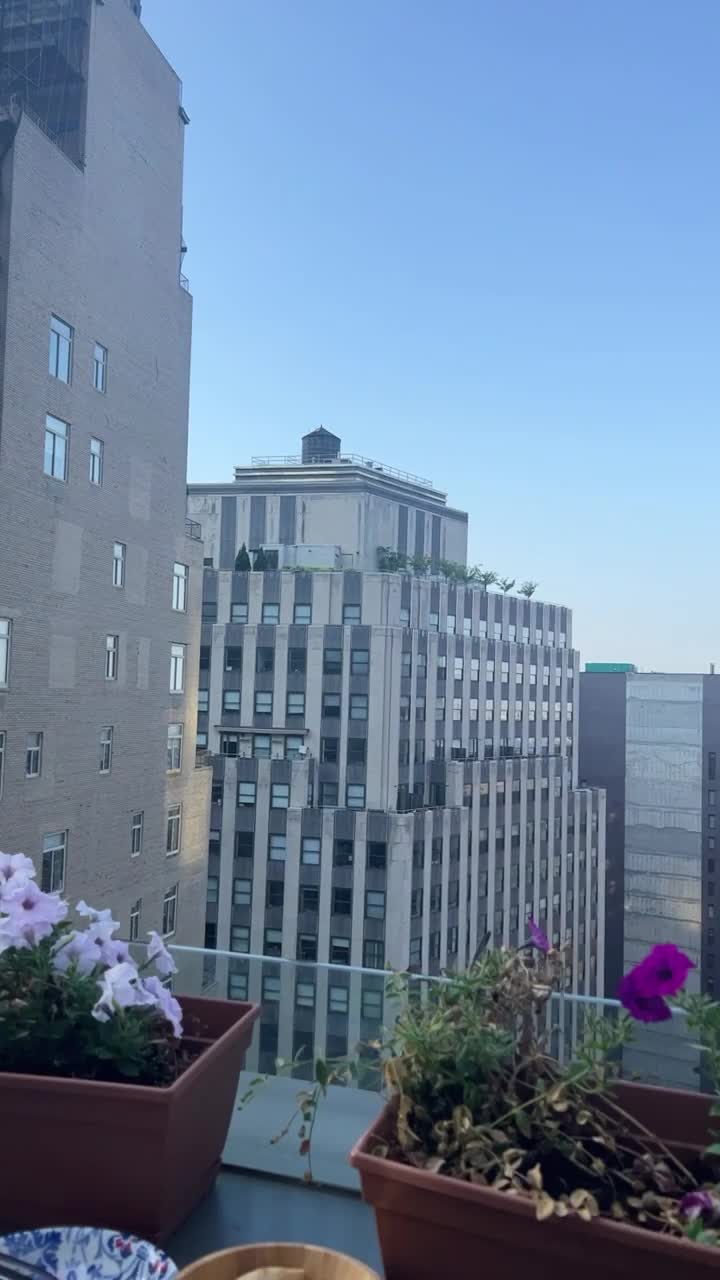 Highkey Rainforest Rooftop