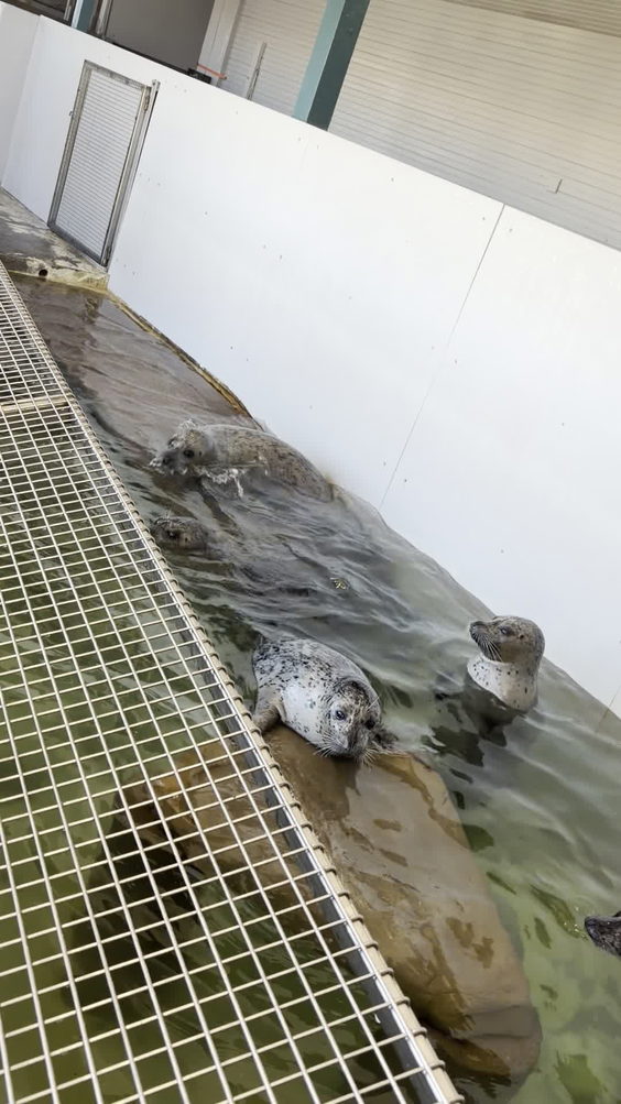 Seaside Aquarium