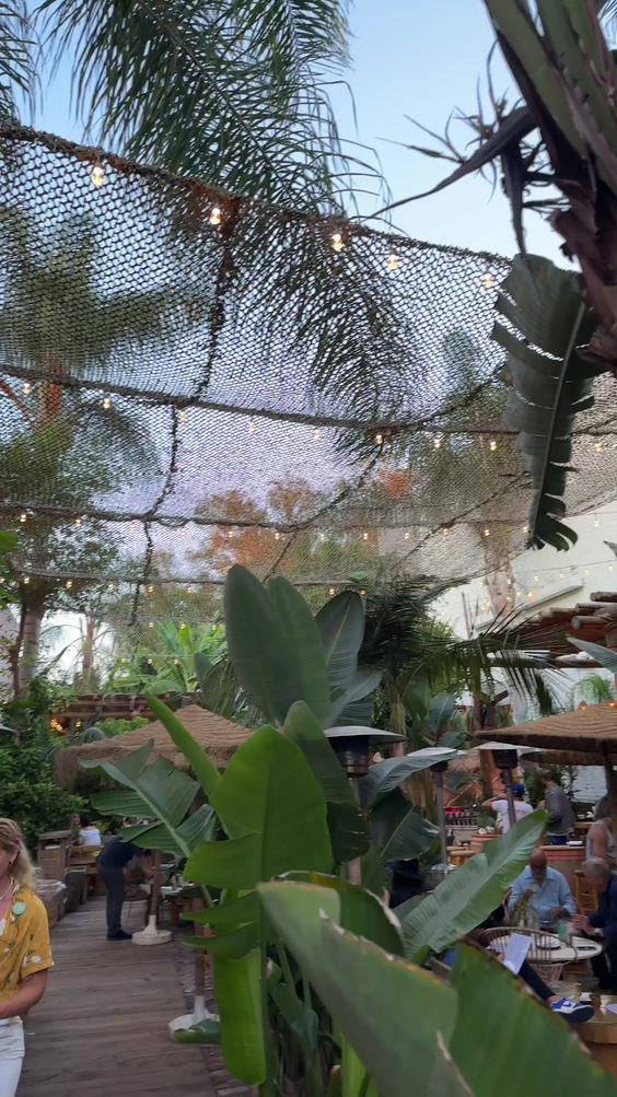 De Buena Planta