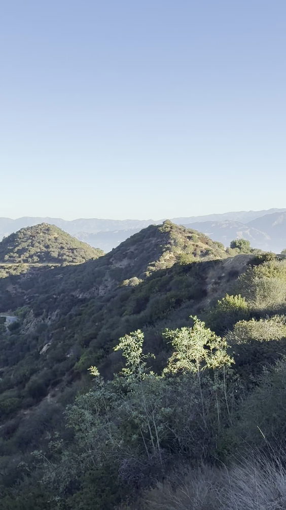 Mount Hollywood Summit Picnic Tables