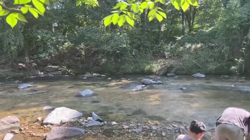 Video review of Herring Run Park
