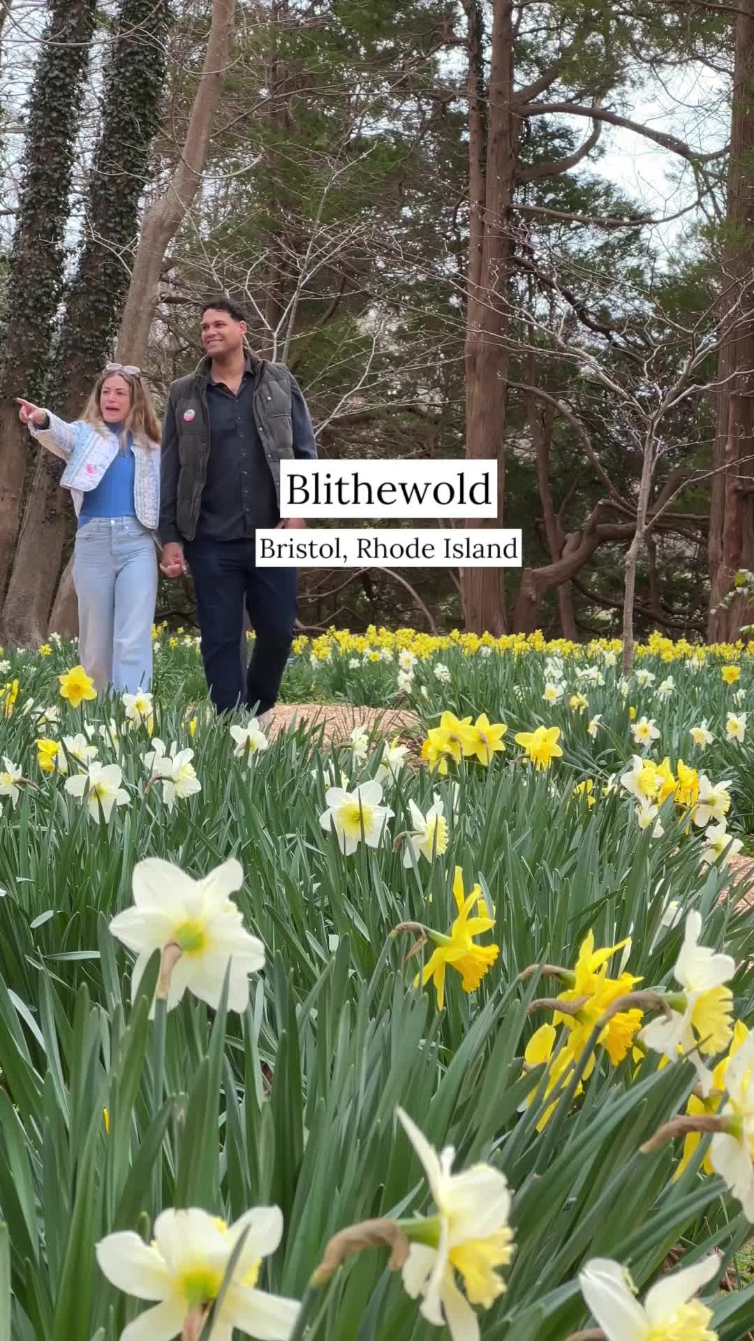 Blithewold Mansion, Gardens & Arboretum