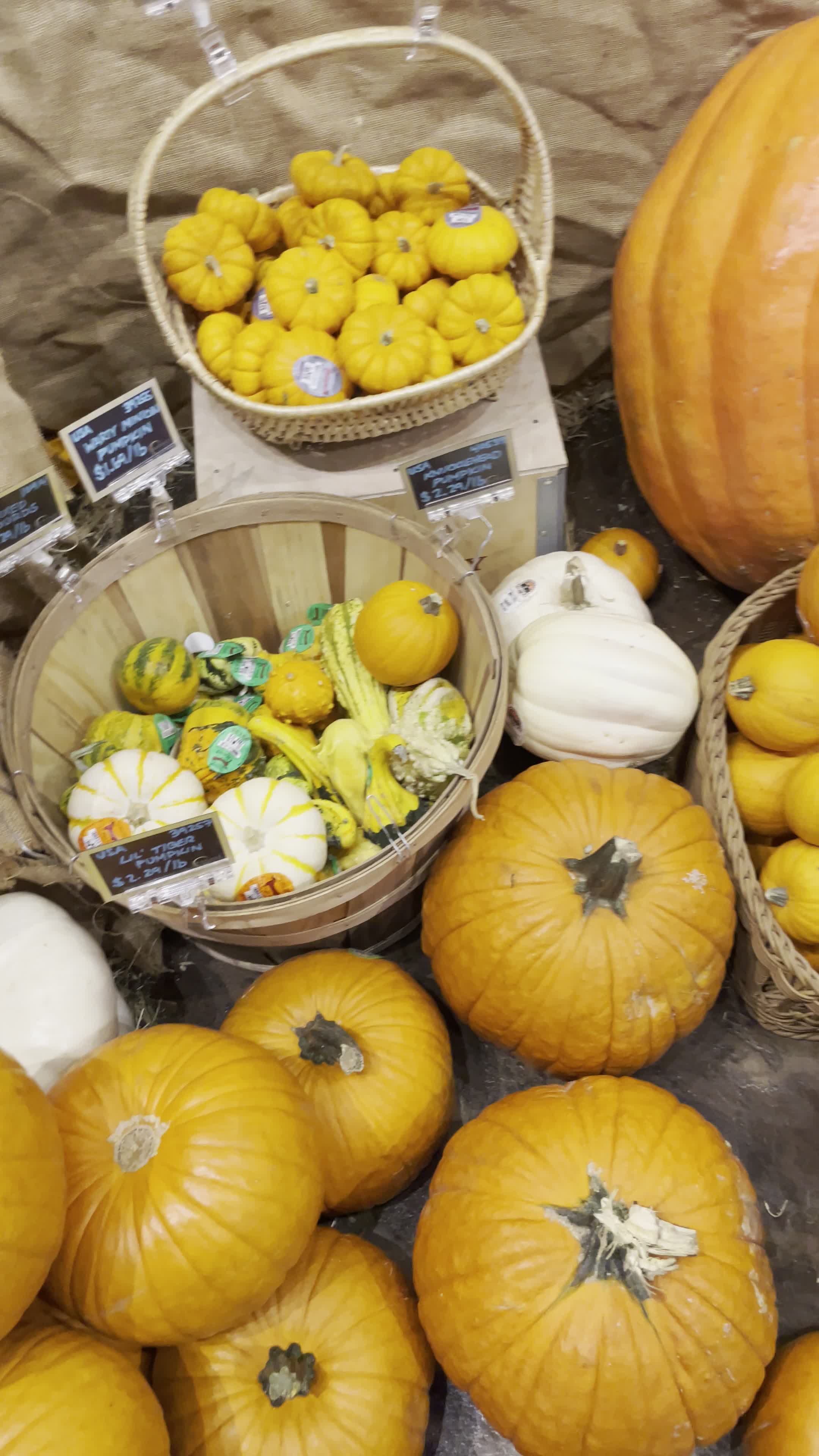Eataly