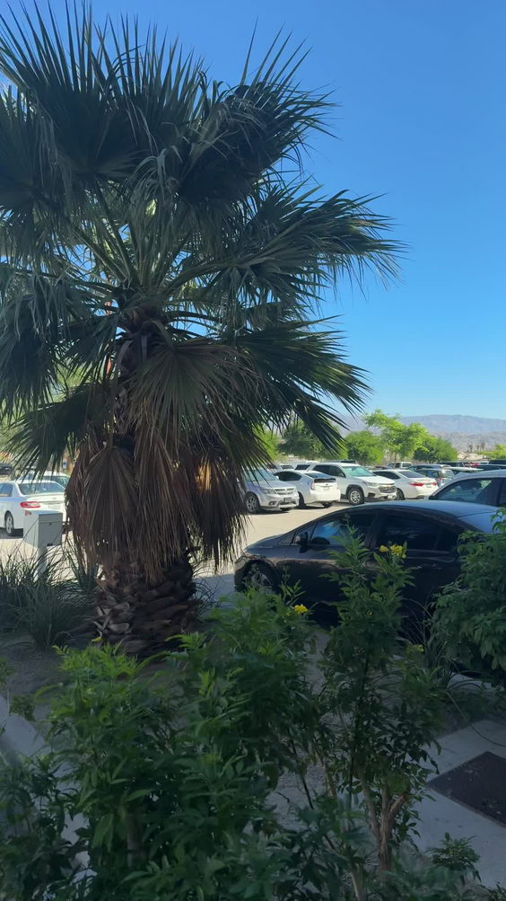 Agua Caliente Casino Palm Springs