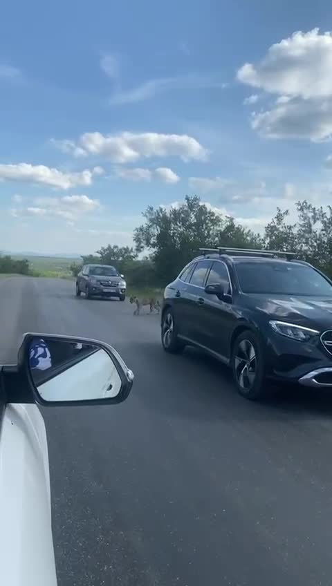 Kruger National Park - Crocodile River