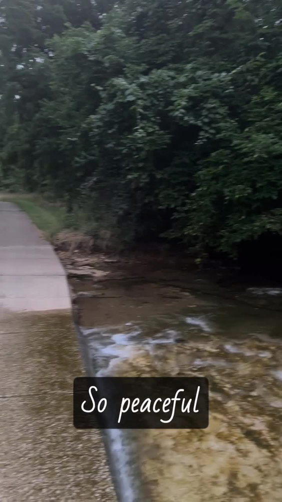 Lost Hill Park