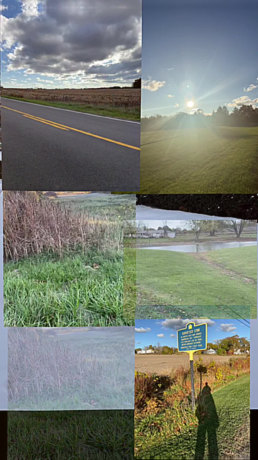 Blue Cross Arena at the War Memorial