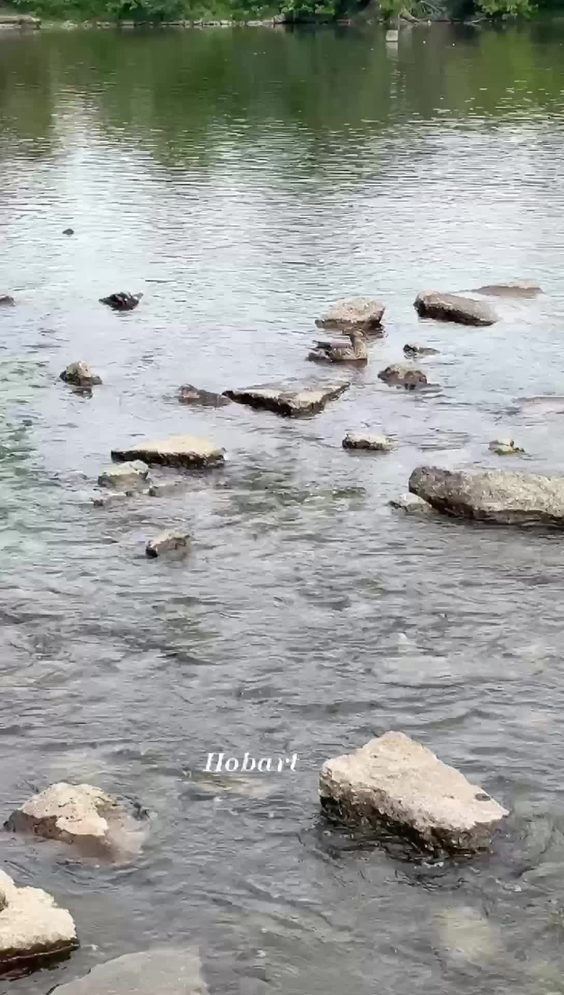 Hobart Lakefront
