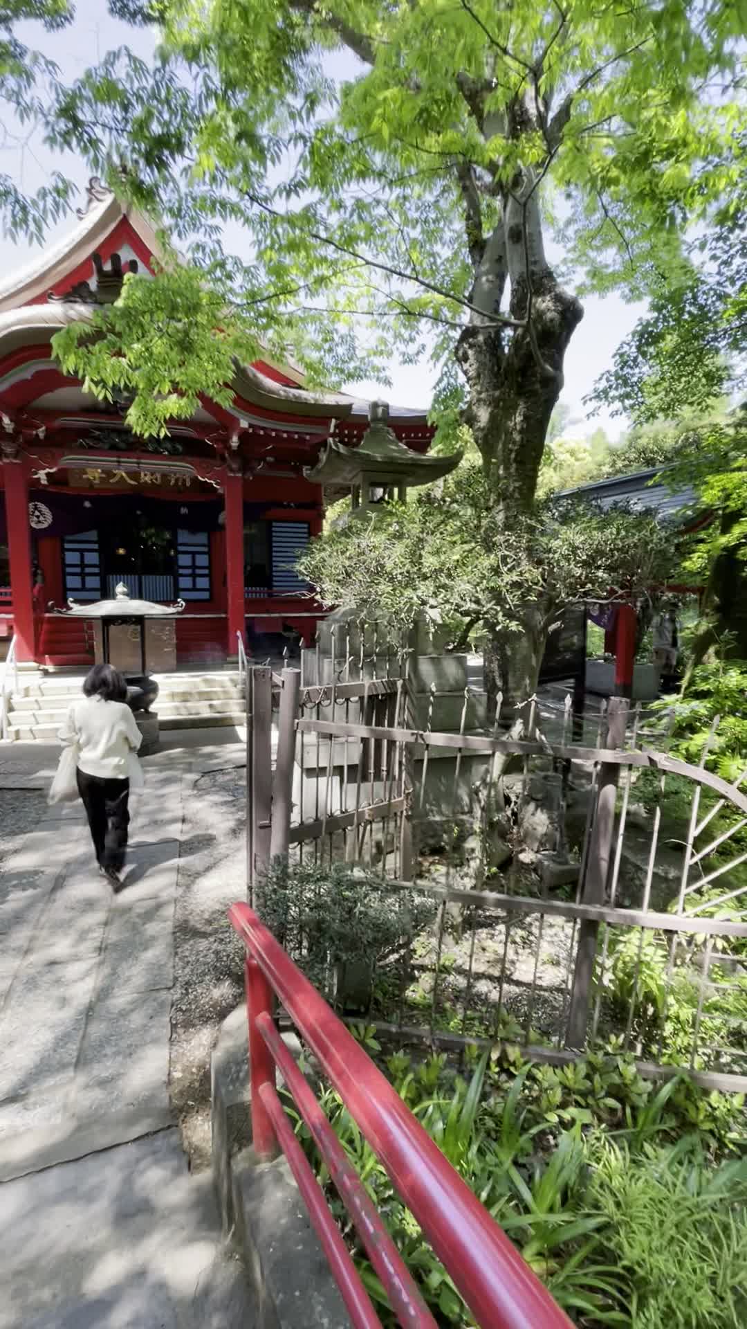 Video review of Inokashira Park (井の頭恩賜公園)